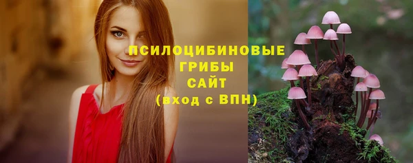 MDMA Premium VHQ Пролетарск