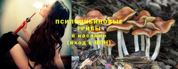 хмурый Протвино