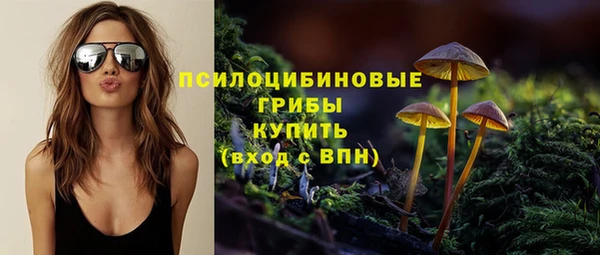 хмурый Протвино
