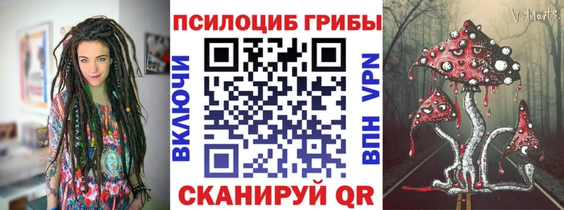 купить наркотик  shop телеграм  Галлюциногенные грибы Psilocybine cubensis  Протвино 