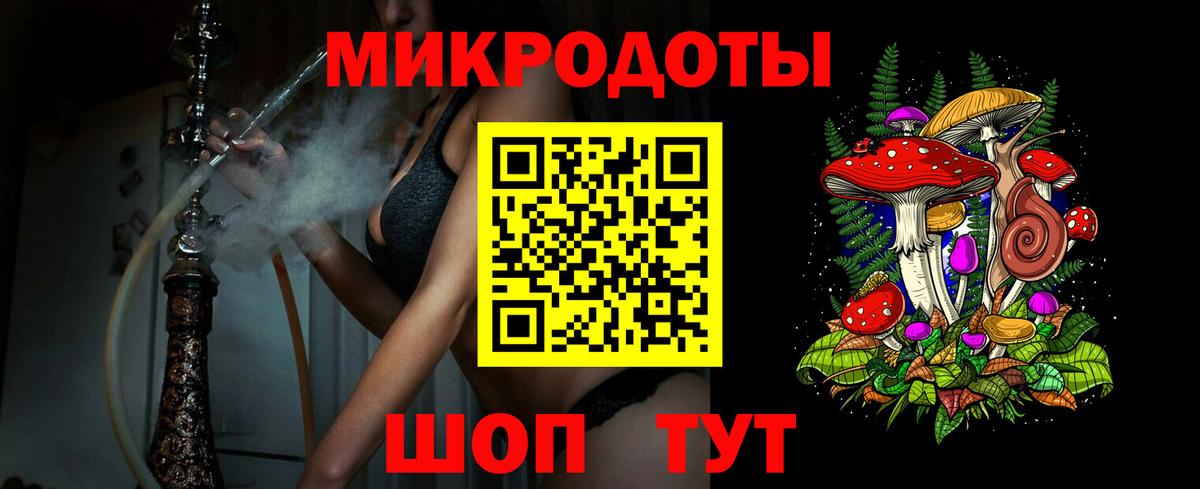 Псилоцибиновые грибы Psilocybe Протвино