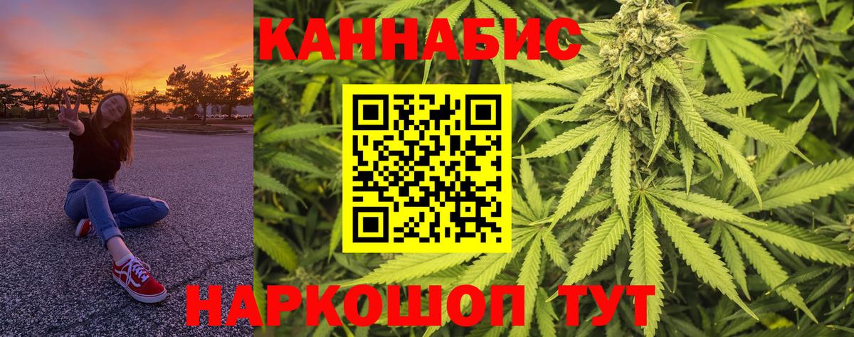 Бошки марихуана конопля Протвино